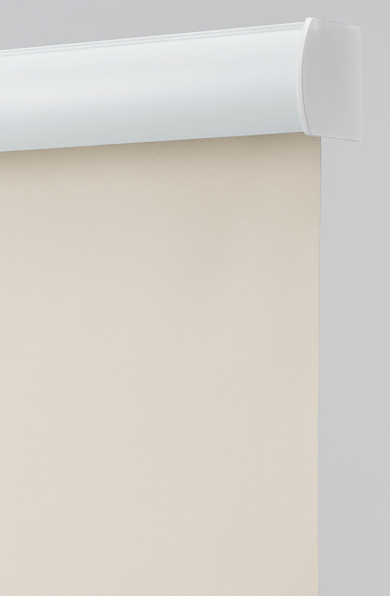 ホワイト（標準）